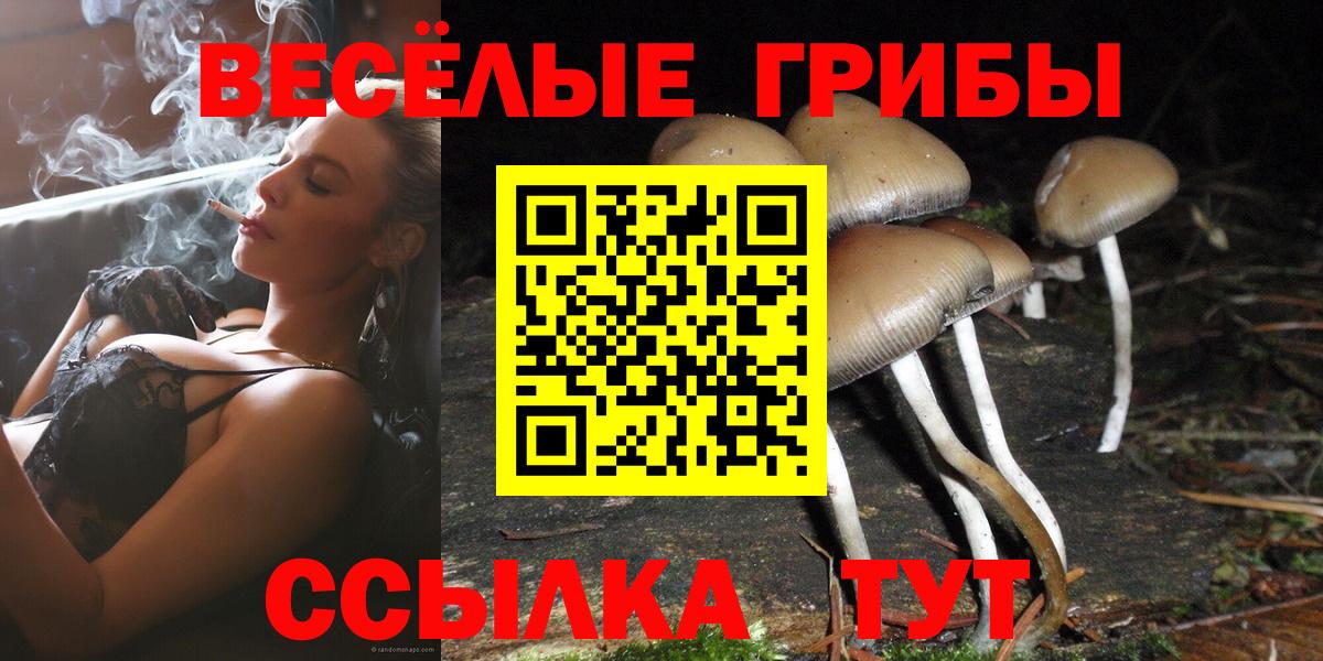Галлюциногенные грибы прущие грибы Мценск